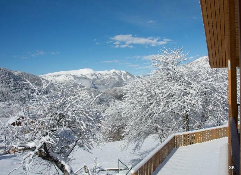 Les Chalets Fleurs De France - Kota Saint-Dalmas 外观 照片